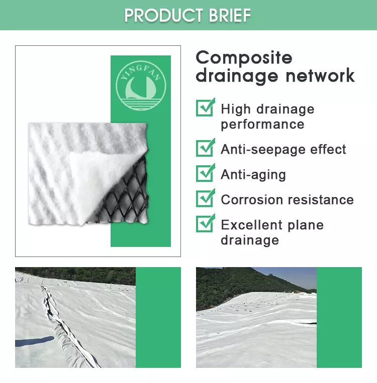 ما هي شبكة الصرف الأكثر شيوعًا؟