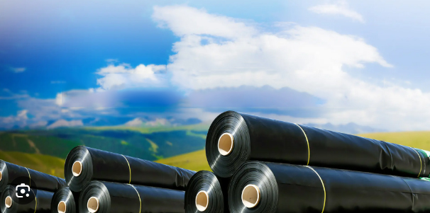 ما هو الغشاء الأرضي المستخدم